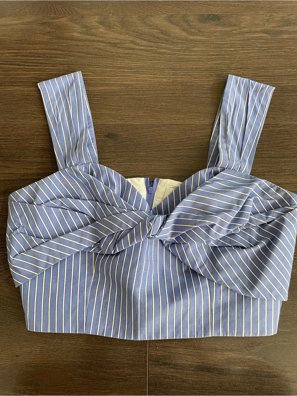 Aritzia Blue and White Striped Tie-Front Crop Top